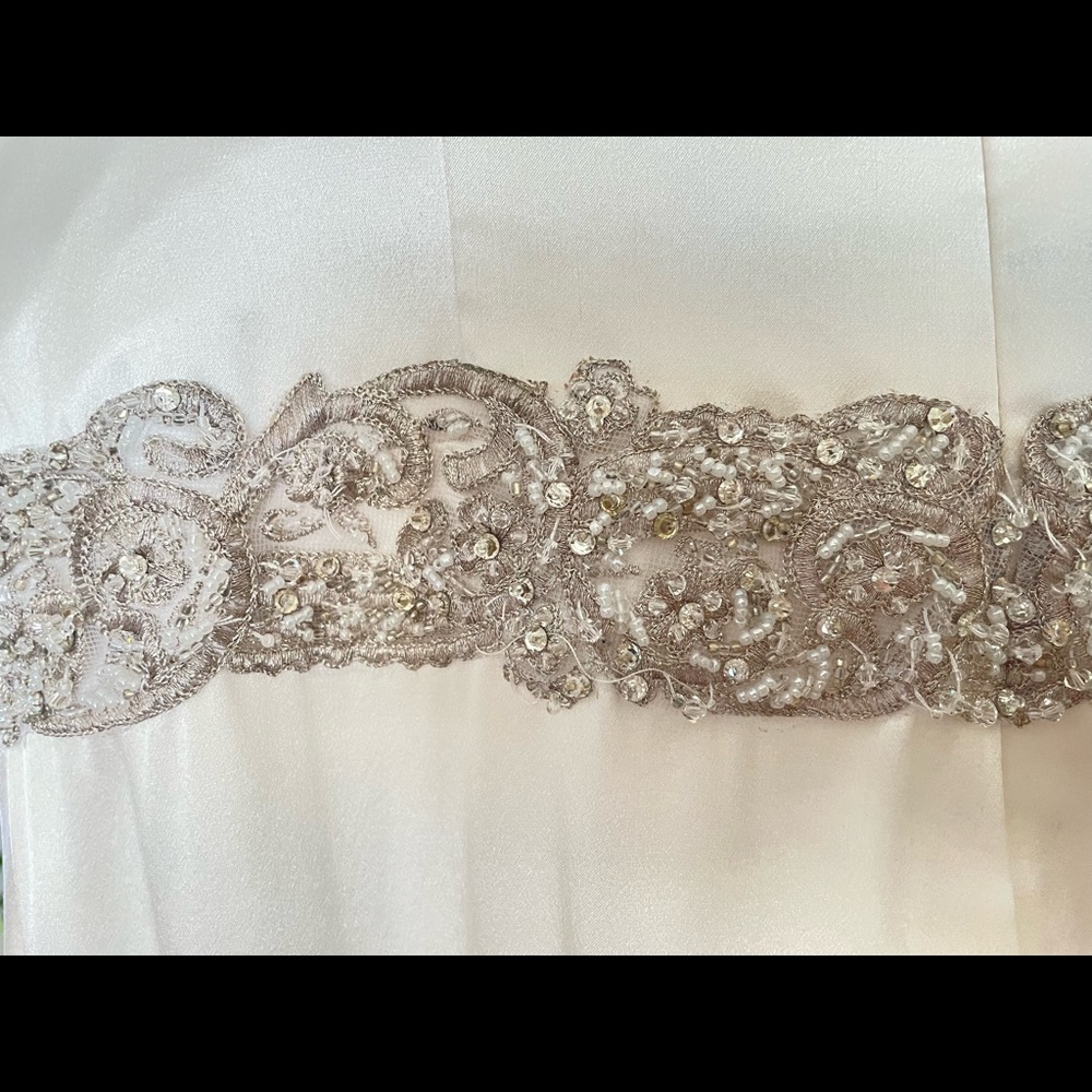 Winnie Couture 100% Silk Wedding Dress - Picture 9 of 11